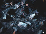 Frozen In Time