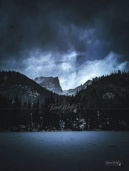 Snowfall Serenade