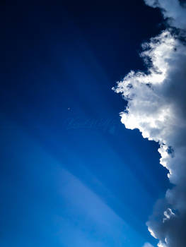 Moon Joy
