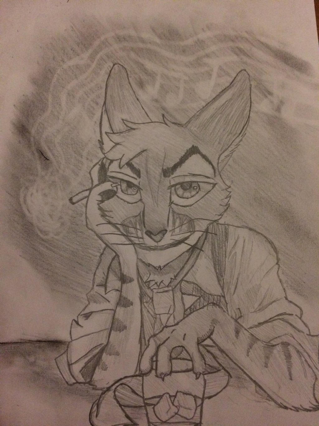 Anthro cat