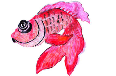 Red fish