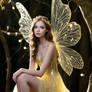 Fairy Fantasy