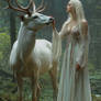 Fairy Fantasy