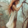 Fairy Fantasy