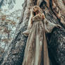 Fairy Fantasy