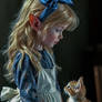 Fairy Fantasy