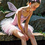 Fairy Fantasy