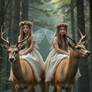 Fairy Fantasy