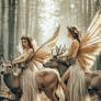 Fairy Fantasy