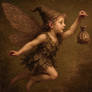 Fairy Fantasy