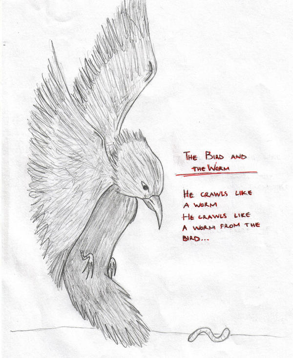Bird Worm Script The Bird and the Worm by SpringWindSoul on DeviantArt