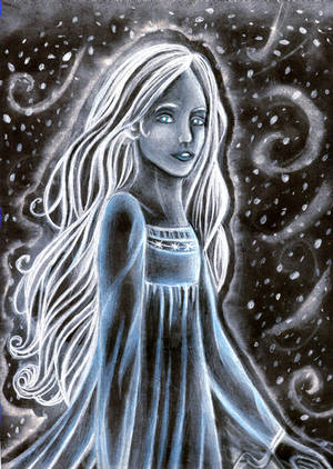 Spirit in the snowstorm by DreamyNaria Spirit in the snowstorm by DreamyNaria