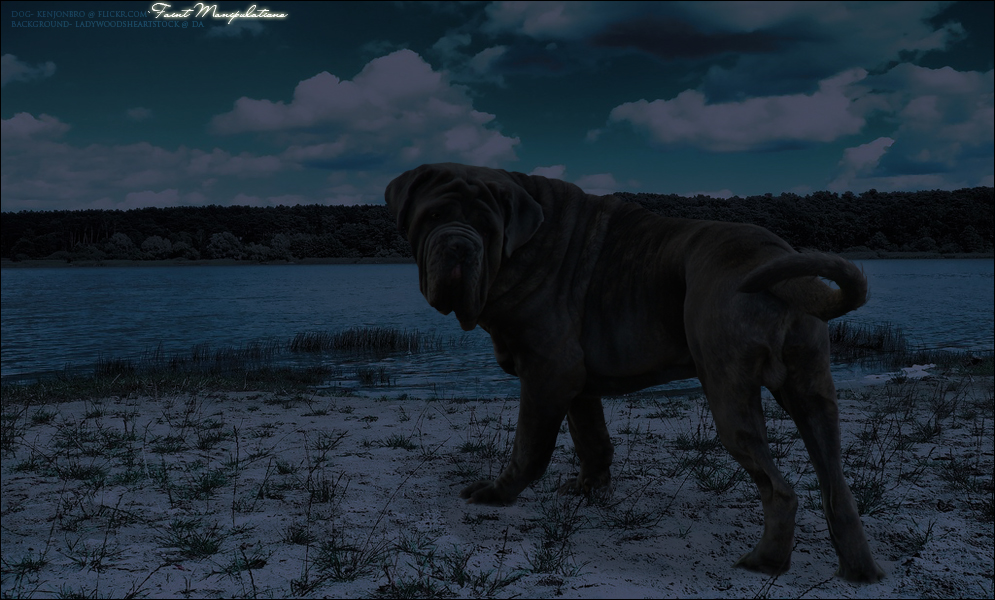 Intensity by oceancoralgraphics