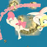 The Sky Dive