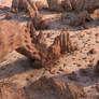 Rock Desert Environment