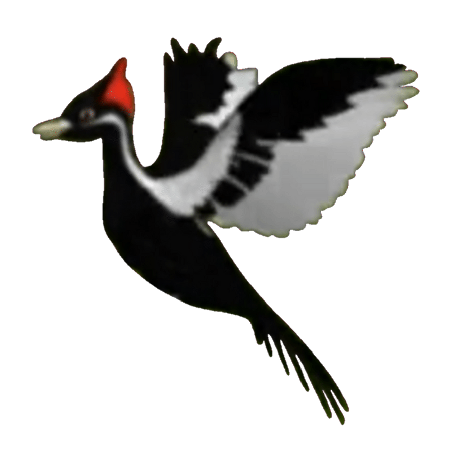 Tapper by littleeinsteins2003 on DeviantArt