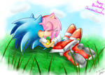 .:B-day Gift:. Sonamy by Pandalana