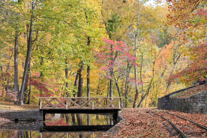 Autumn Splendour