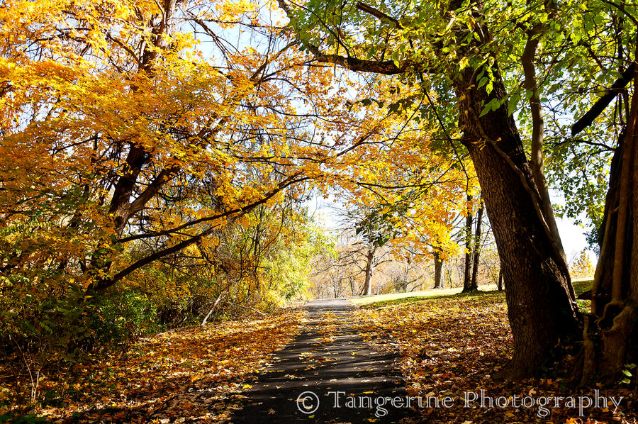 A Walk in Gold