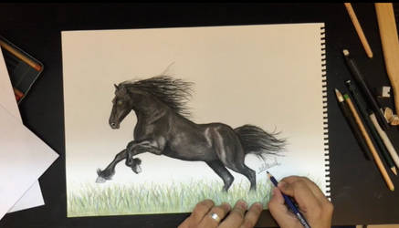 Horse Drawing  Colored Pastel