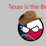 Texas Countryball Art