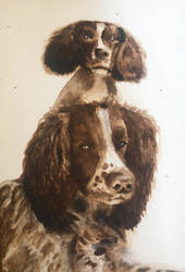 Dog Watercolour (Buc and Pip)