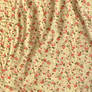 Floral PJ 1 - Fabric Texture