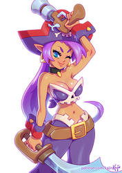 Shantae the Pirate?