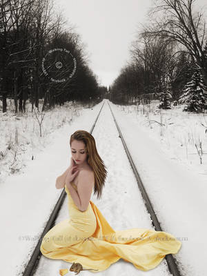 Tracks In The Snow - I by Walking-Tall