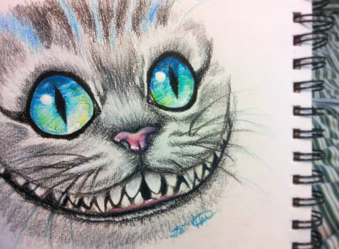 Cheshire Sketch