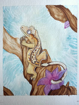 crested gecko commission