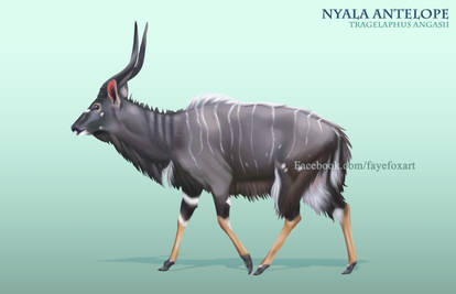 Nyala