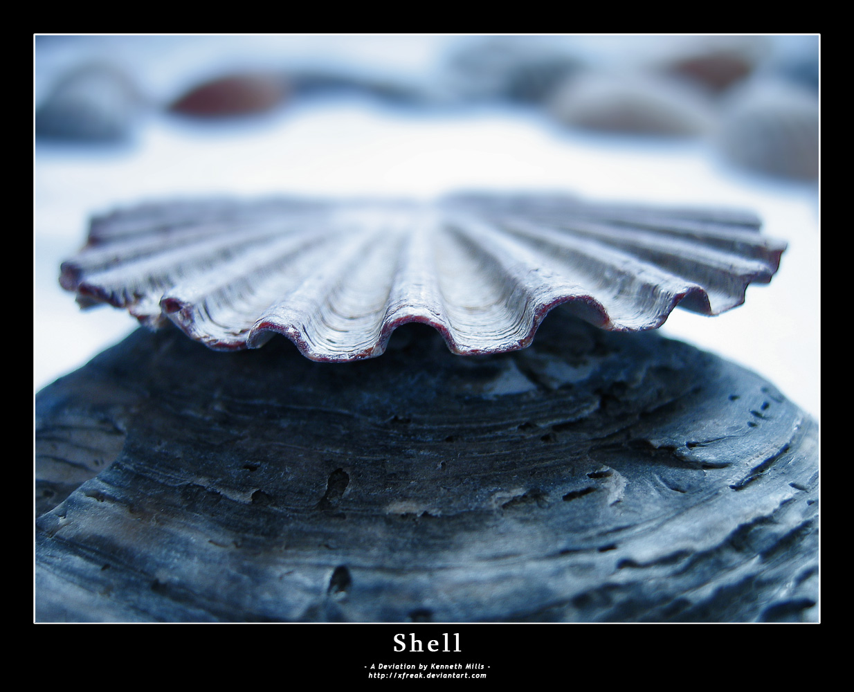 Shell