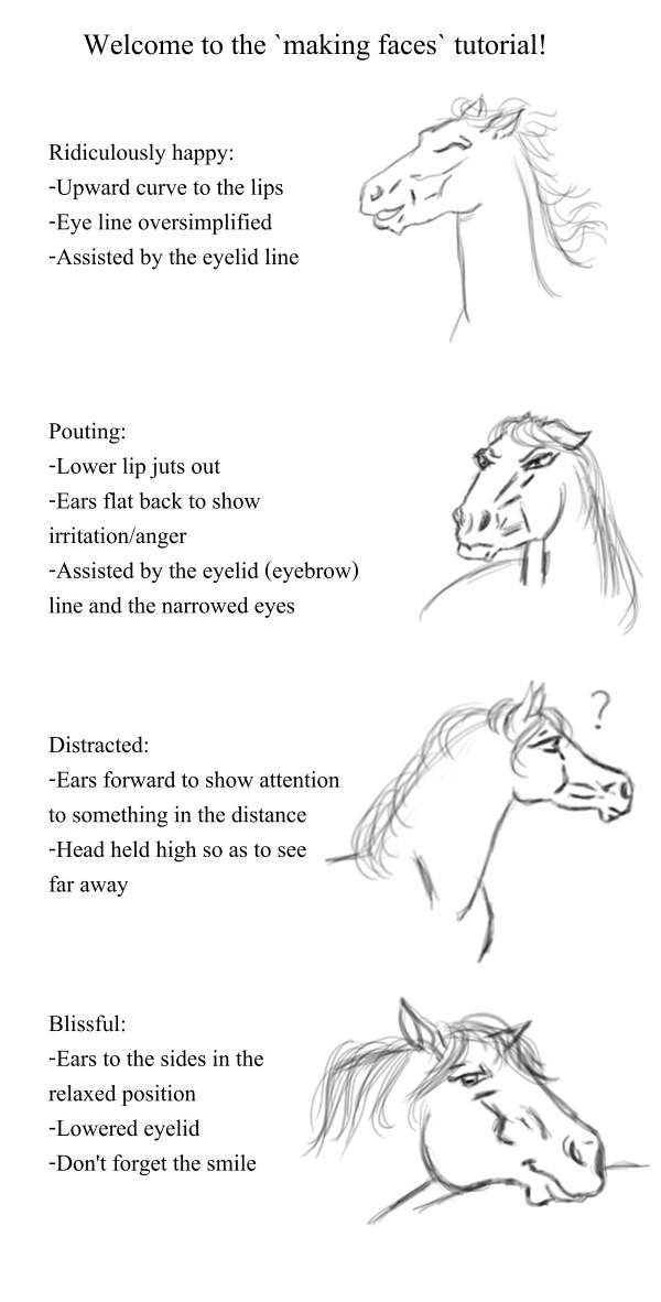 Horse faces tutorial