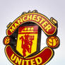 Manchester United logo 3D