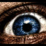 Exp. HDR 4: Eye.