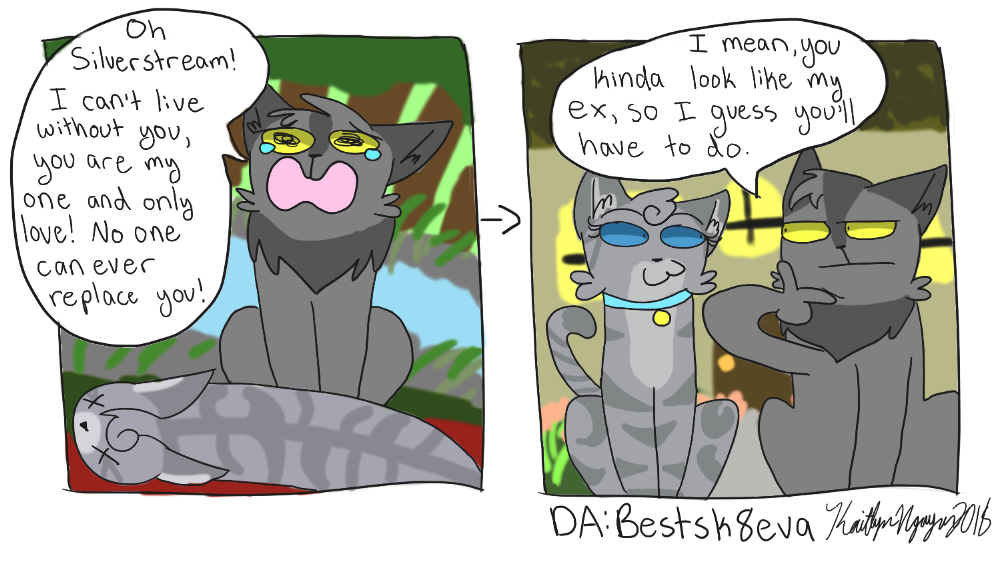 Graystripe S Love Life By Iycewing On Deviantart Graystripe S Love Life By Iycewing On Deviantart