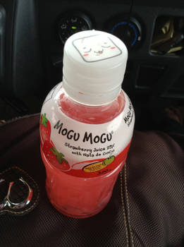 Mogu Mogu