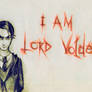 (12) Tom Marvolo Riddle