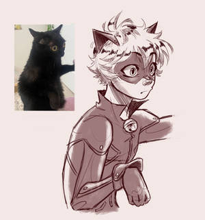 Miraculous- Cat = Chat 1