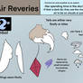 Reveries - Air Reveries- Info sheet