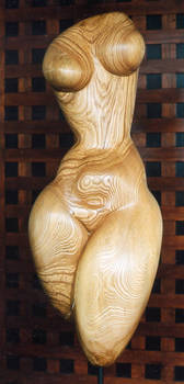 standing torso in ash wood