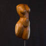 Small torso II