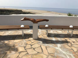 Genesis Balance Palma (12)