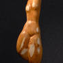small Torso IV