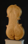 Cello in contrapost back side by gecko-online