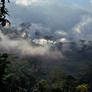 Andean cloud forest