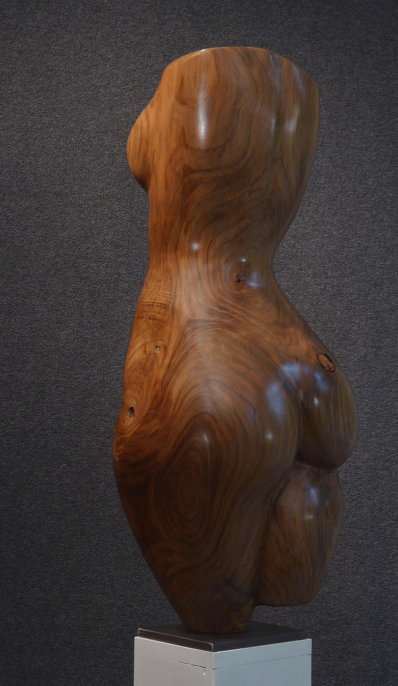 Torso curve discussion