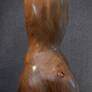 Torso curve discussion back side