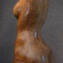 Torso curve discussion